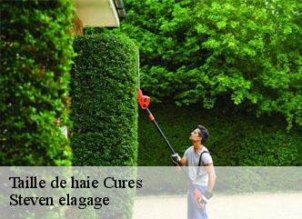 Taille de haie  cures-72240 Steven elagage