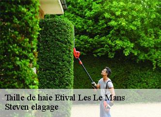 Taille de haie  etival-les-le-mans-72700 Steven elagage