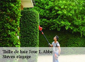 Taille de haie  joue-l-abbe-72380 Steven elagage