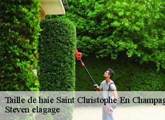 Taille de haie  saint-christophe-en-champagn-72540 Steven elagage
