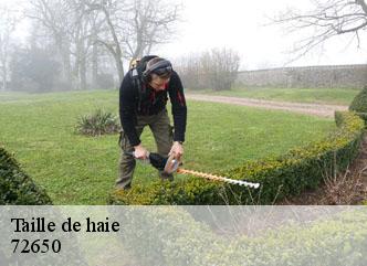 Taille de haie 72650