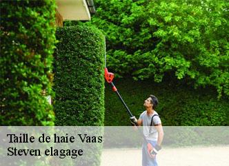 Taille de haie vaas-72500 Steven elagage
