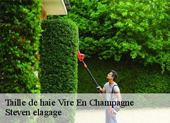 Taille de haie  vire-en-champagne-72350 Steven elagage