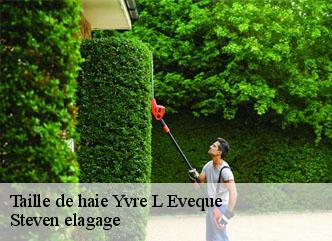 Taille de haie yvre-l-eveque-72530 Steven elagage