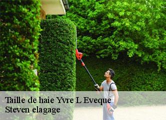 Taille de haie  yvre-l-eveque-72530 Steven elagage