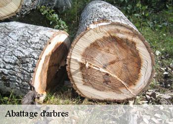 Abattage d'arbres