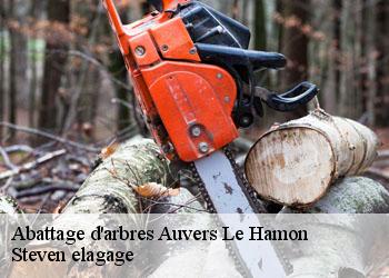 Abattage d'arbres  auvers-le-hamon-72300 Steven elagage
