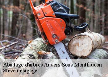 Abattage d'arbres  auvers-sous-montfaucon-72540 Steven elagage