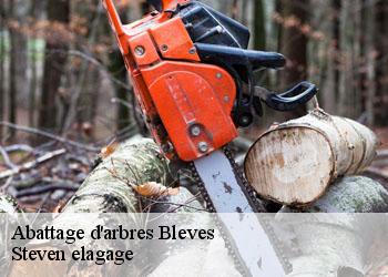 Abattage d'arbres  bleves-72670 Steven elagage