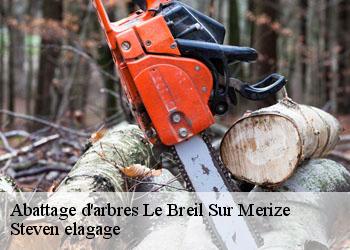 Abattage d'arbres  le-breil-sur-merize-72370 Steven elagage