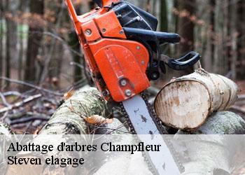 Abattage d'arbres  champfleur-72610 Steven elagage