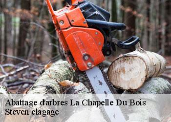 Abattage d'arbres  la-chapelle-du-bois-72400 Steven elagage