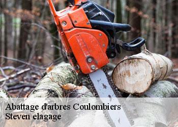 Abattage d'arbres  coulombiers-72130 Steven elagage