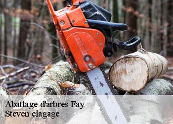 Abattage d'arbres  fay-72550 Steven elagage