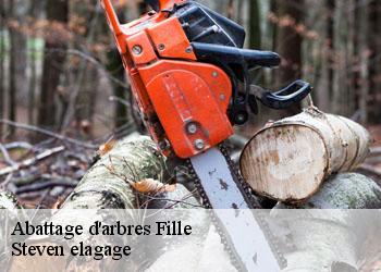 Abattage d'arbres  fille-72210 Steven elagage