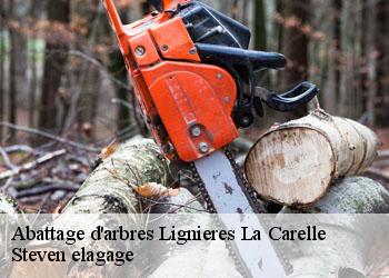 Abattage d'arbres  lignieres-la-carelle-72610 Steven elagage