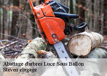 Abattage d'arbres  luce-sous-ballon-72290 Steven elagage