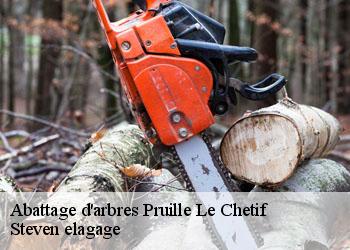 Abattage d'arbres  pruille-le-chetif-72700 Steven elagage