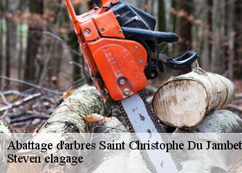 Abattage d'arbres  saint-christophe-du-jambet-72170 Steven elagage