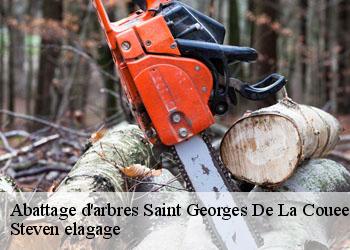 Abattage d'arbres  saint-georges-de-la-couee-72150 Steven elagage