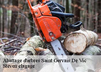 Abattage d'arbres  saint-gervais-de-vic-72120 Steven elagage