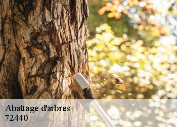 Abattage d'arbres 72440