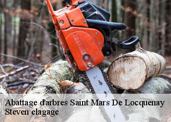 Abattage d'arbres  saint-mars-de-locquenay-72440 Steven elagage