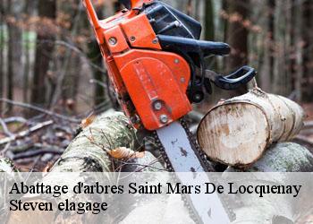 Abattage d'arbres saint-mars-de-locquenay-72440 Steven elagage