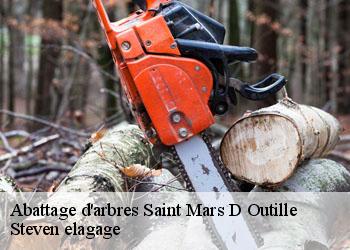 Abattage d'arbres  saint-mars-d-outille-72220 Steven elagage