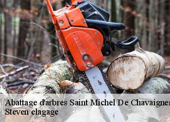 Abattage d'arbres  saint-michel-de-chavaignes-72440 Steven elagage