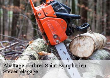 Abattage d'arbres  saint-symphorien-72240 Steven elagage