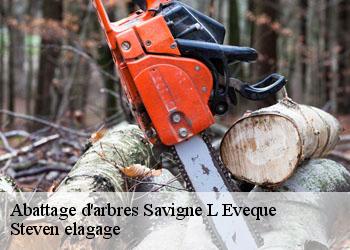 Abattage d'arbres  savigne-l-eveque-72460 Steven elagage