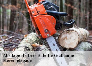 Abattage d'arbres  sille-le-guillaume-72140 Steven elagage