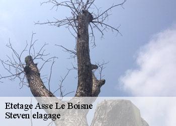 Etetage  asse-le-boisne-72130 Steven elagage