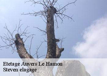 Etetage  auvers-le-hamon-72300 Steven elagage