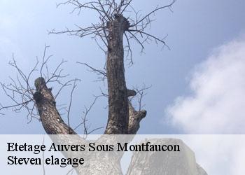 Etetage  auvers-sous-montfaucon-72540 Steven elagage