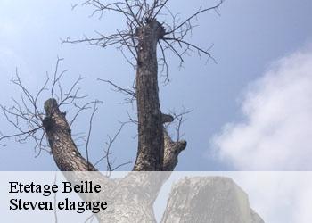 Etetage  beille-72160 Steven elagage