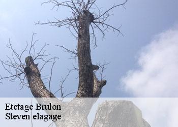 Etetage  brulon-72350 Steven elagage