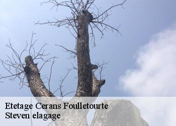 Etetage  cerans-foulletourte-72330 Steven elagage