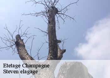 Etetage  champagne-72470 Steven elagage