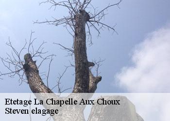 Etetage  la-chapelle-aux-choux-72800 Steven elagage