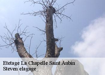 Etetage  la-chapelle-saint-aubin-72650 Steven elagage