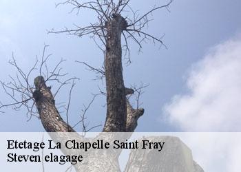 Etetage  la-chapelle-saint-fray-72240 Steven elagage