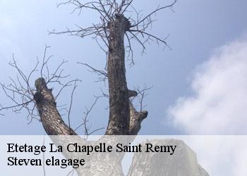 Etetage  la-chapelle-saint-remy-72160 Steven elagage
