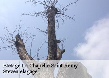 Etetage la-chapelle-saint-remy-72160 Steven elagage