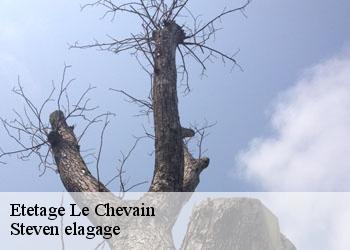 Etetage  le-chevain-72610 Steven elagage