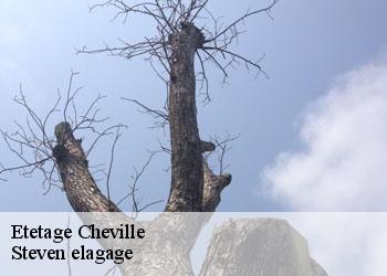 Etetage  cheville-72350 Steven elagage