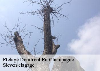 Etetage  domfront-en-champagne-72240 Steven elagage