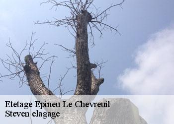 Etetage  epineu-le-chevreuil-72540 Steven elagage
