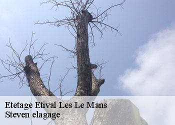 Etetage  etival-les-le-mans-72700 Steven elagage